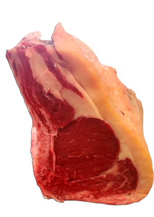 mikel zabal carne